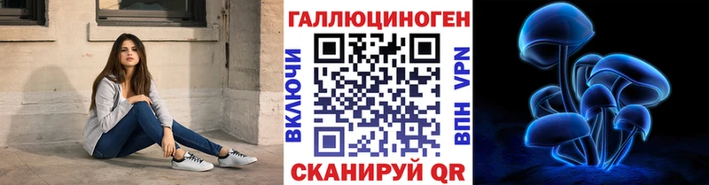 что такое   Георгиевск  Галлюциногенные грибы GOLDEN TEACHER 